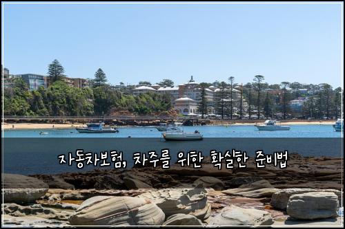 자동차보험, 차주를 위한 확실한 준비법