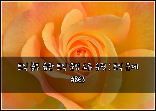 토익 공부 습관 토익 문법 오류 유형 : 토익 문제 #863