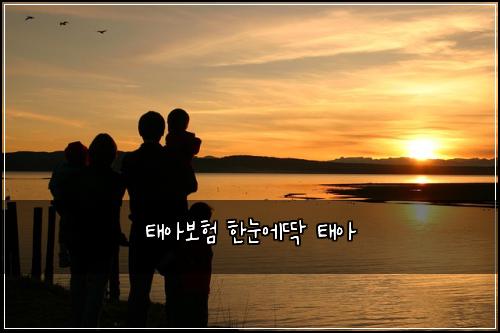 태아보험 한눈에딱  태아