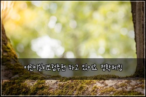 ์ด๋ฆฐ์ด์ค๋น๋ณดํ์ถ์ฒ ํ๊ณ ์์ด์ ์ ํ์ฒดํน