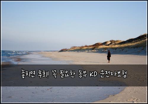  놓치면 후회! 꼭 필요한 동부 KD 운전자보험