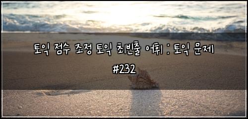 토익 점수 조정 토익 최빈출 어휘 : 토익 문제 #232