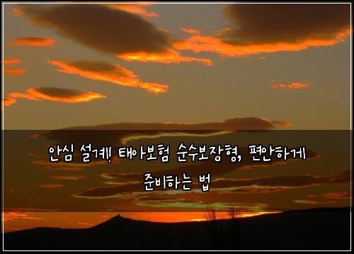  안심 설계! 태아보험 순수보장형, 편안하게 준비하는 법