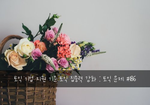 토익 기업 지원 기준 토익 집중력 강화 : 토익 문제 #186