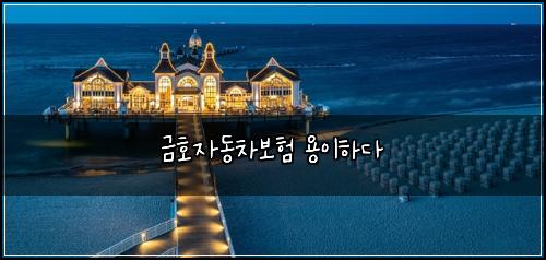 ๊ธํธ์๋์ฐจ๋ณดํ ์ฉ์ดํ๋ค