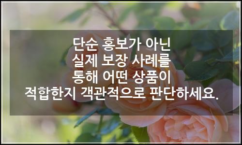 오늘의 이미지