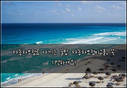 자동차보험료 아끼는 꿀팁: 자동차보험비교몰, 꼭 기억하세요!