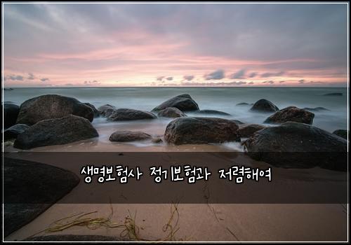 생명보험사 정기보험과 저렴해여