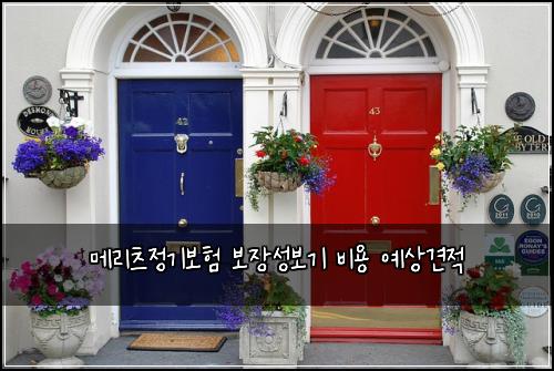 메리츠정기보험 보장성보기  비용 예상견적