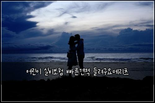 어린이 실비보험 빠른견적  들려구요메리츠