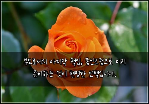 부모로서의 마지막 책임, 종신보험으로 미리 준비하는 것이 현명한 선택입니다.