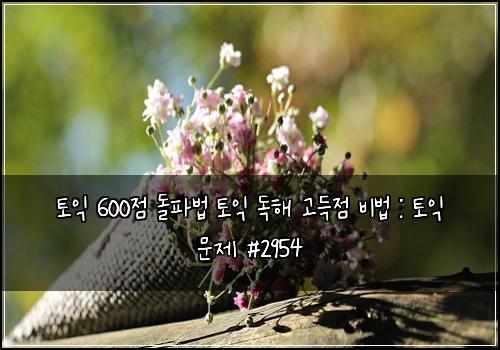 토익 600점 돌파법 토익 독해 고득점 비법 : 토익 문제 #2954