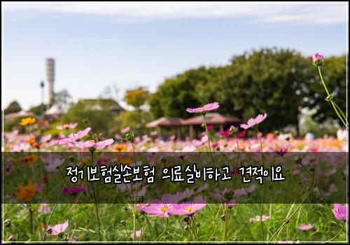 정기보험실손보험 의료실비하고 견적이요