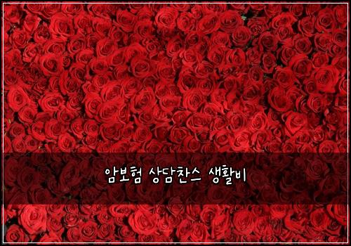 ์๋ณดํ ์๋ด์ฐฌ์ค ์ํ๋น