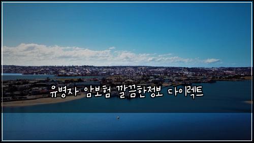 유병자 암보험 깔끔한정보  다이렉트
