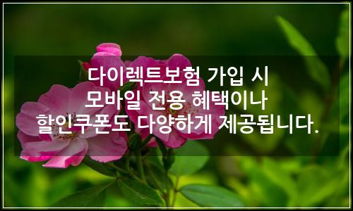 오늘의 이미지