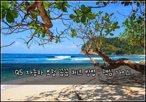 Q5 자동차 보험 꼼꼼 체크 방법 : 핵심 가이드