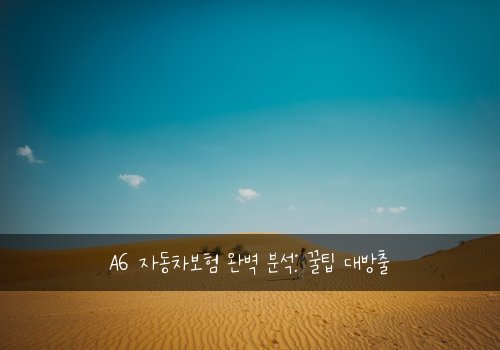 A6 자동차보험 완벽 분석: 꿀팁 대방출