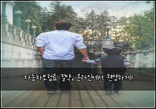 자동차보험료 절약, 온라인에서 현명하게!