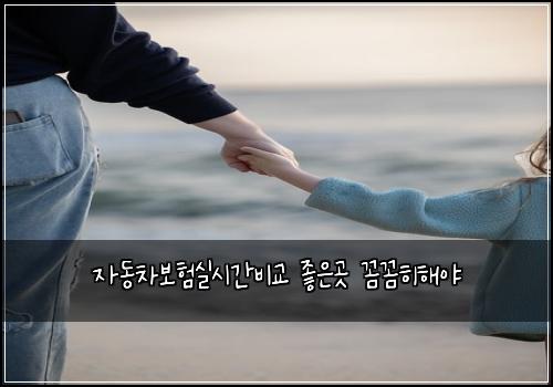 ์๋์ฐจ๋ณดํ์ค์๊ฐ๋น๊ต ์ข์๊ณณ ๊ผผ๊ผผํํด์ผ