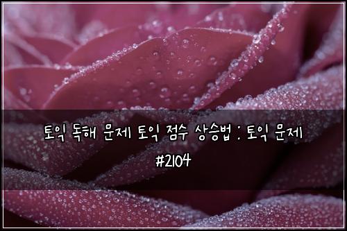 토익 독해 문제 토익 점수 상승법 : 토익 문제 #2104