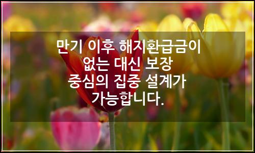 오늘의 이미지
