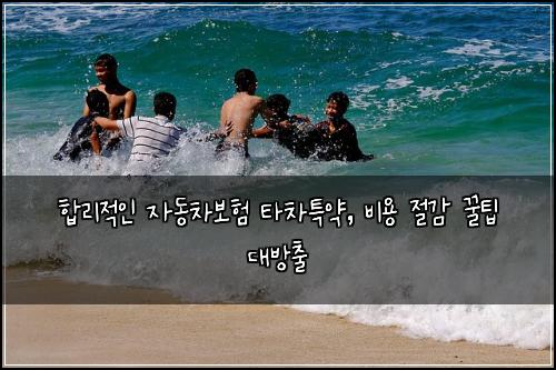  합리적인 자동차보험 타차특약, 비용 절감 꿀팁 대방출