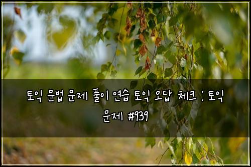 토익 문법 문제 풀이 연습 토익 오답 체크 : 토익 문제 #939