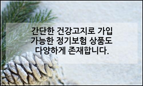 오늘의 이미지