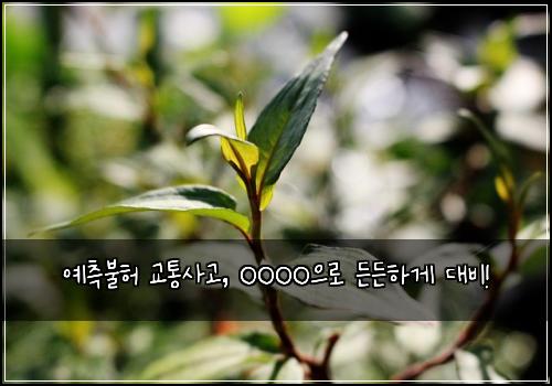  예측불허 교통사고, OOOO으로 든든하게 대비!