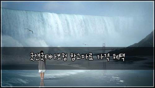 굿앤굿태아보험 참고자료  가격 혜택