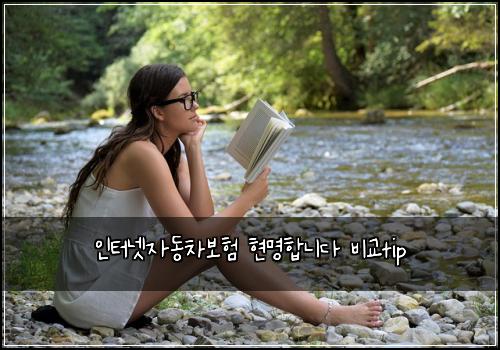 μΈν°λ·μλ차보ν νλͺ
ν©λλ€ λΉκ΅tip