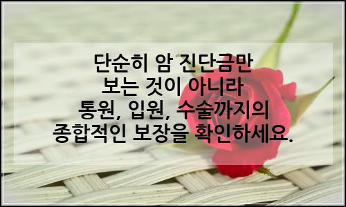 오늘의 이미지