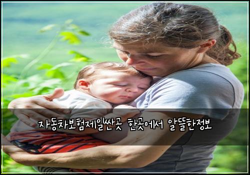 ์๋์ฐจ๋ณดํ์ ์ผ์ผ๊ณณ ํ๊ณณ์์ ์๋ฐํ์ ๋ณด