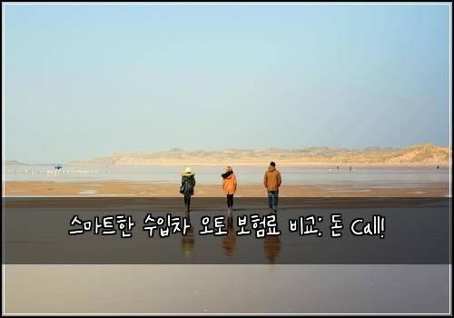  스마트한 수입차 오토 보험료 비교: 돈 Call!