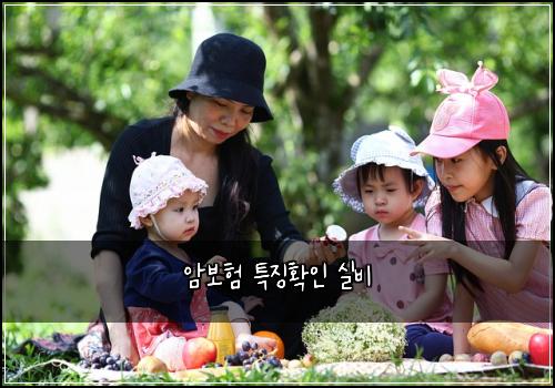 암보험 특징확인  실비