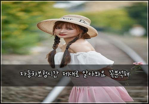 ์๋์ฐจ๋ณดํ์๊ฐ ์ ๋๋ก ์์๋ด์ ๊ผญ๋ถ์ํด