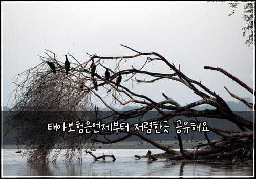 ํ์๋ณดํ์์ธ์ ๋ถํฐ ์ ๋ ดํ๊ณณ ๊ณต์ ํด์