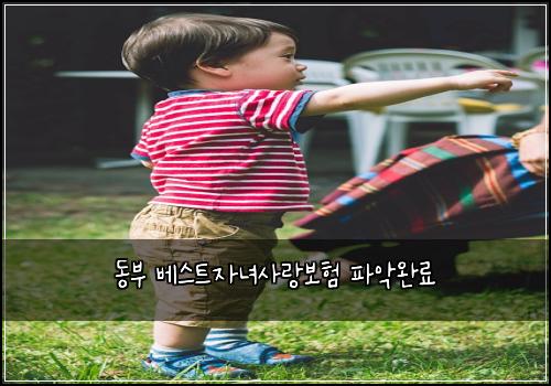 ๋๋ถ ๋ฒ ์คํธ์๋
์ฌ๋๋ณดํ ํ์
์๋ฃ