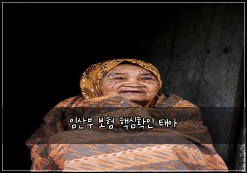μμ°λΆ 보ν ν΅μ¬νμΈ νμ