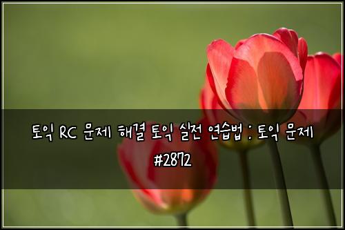 토익 RC 문제 해결 토익 실전 연습법 : 토익 문제 #2872