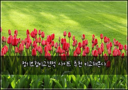 ์ ๊ธฐ๋ณดํ๋น๊ต๊ฒฌ์ ์ฌ์ดํธ ์ถ์ฒ ๋น๊ตํด๋ณธ๋ค