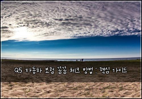 Q5 자동차 보험 꼼꼼 체크 방법 : 핵심 가이드