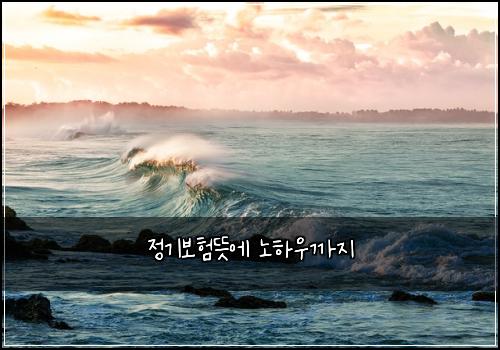정기보험뜻에 노하우까지