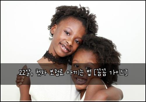 22살, 첫차 보험료 아끼는 법 [꼼꼼 가이드]