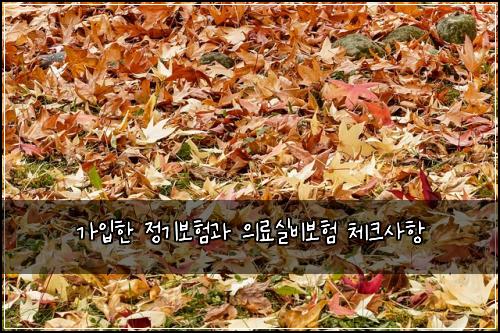 가입한 정기보험과 의료실비보험 체크사항