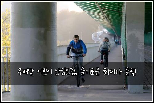 무배당 어린이 안심보험, 슬기로운 최저가 클릭!