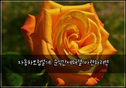 ์๋์ฐจ๋ณดํ์ค๊ณ ์์๊ฐ์ํด๊ฒฐ ๋ง๋ จํ๋ ค๋ฉด