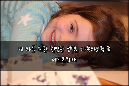  내 차를 위한 현명한 선택, 자동차보험 좀 메리츠화재