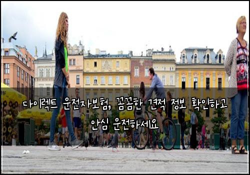  다이렉트 운전자보험, 꼼꼼한 견적 정보 확인하고 안심 운전하세요